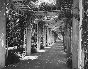 Marino: SHADED WALK