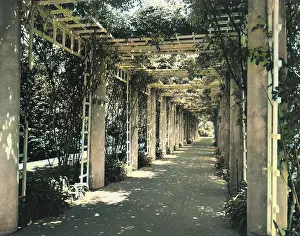 Marino: SHADED WALK