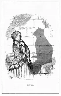 Hankerchief: Shadow drawing. C.H. Bennett, Feline