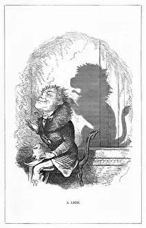 Tawney: Shadow drawing. C.H. Bennett, A Lion