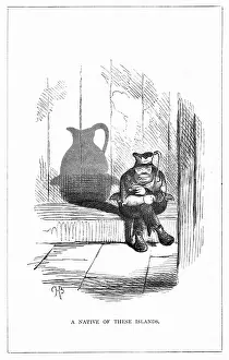 Ironic: Shadow drawing. C.H. Bennett, A Native