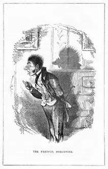 Porcupine: Shadow drawing. C.H. Bennett, Porcupine
