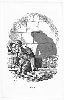 Toady: Shadow drawing. C.H. Bennett, Toady