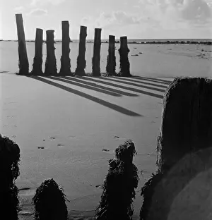 Stemming: Shadows on the beach