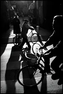 Pisa: Shadows and cyclists, Pisa, Italy