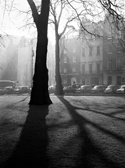 Shafts: Shadows in a London square