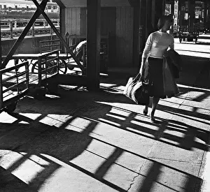 Trolleys: Shadows on a station platform