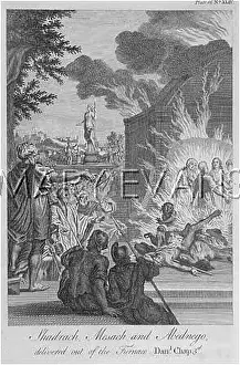 Shadrach: SHADRACH PRESERVED