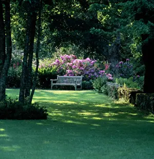 Bretagne: Shady Garden, with Seat ' Brittany