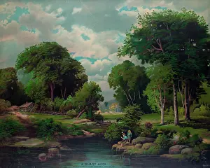 Nook: A shady nook