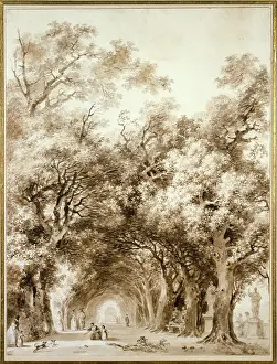 Stroller: The Shady Path
