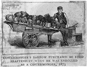 Purchased: Shaftesbury's barrow