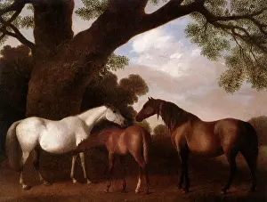 Equines: Two Shafto Mares and a Foal, by Stubbs