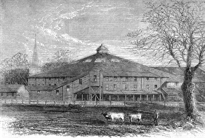 Jubilees: Shakespeare commemoration 1864