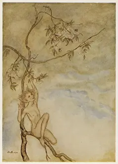 Ariel: Shakespeare - the Tempest