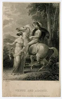 Lust: Shakespeare - Venus and Adonis
