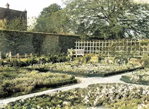Thecolourisedpic: SHAKESPEARE'S GARDEN