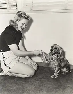 Cocker: Shaking hands with her cocker spaniel