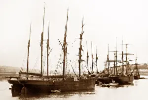 Teignmouth: Shaldon near Teignmouth