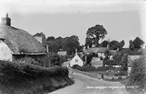 Cottages: Shalfleet Village