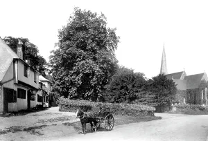 Shalford: Shalford, Village 1904