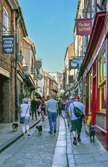 Streetscape: The Shambles, York