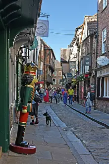 Streetscape: The Shambles, York