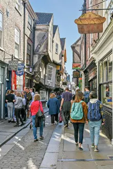 Sightseeing: The Shambles, York