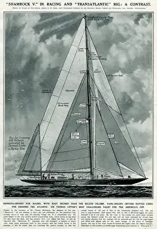 Rigged: Shamrock V yacht by G. H. Davis