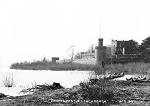 Neagh: Shane's Castle, Lough Neagh