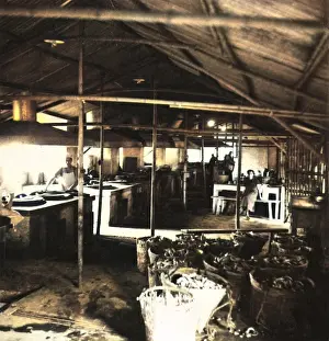 Robert Hunt Library: Shanghai refugee kitchen