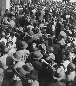 Concession: Shanghai refugees seek refuge