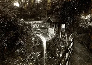 Shanklin: Shanklin Chine, Isle of Wight