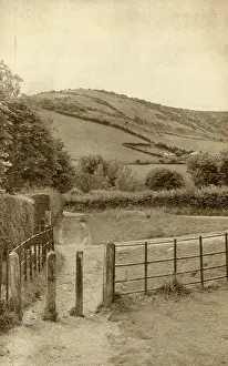 Shanklin: Shanklin Downs from Luccombe Common, Isle of Wight