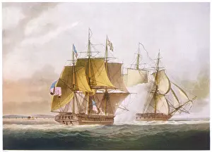 Chesapeake: SHANNON V CHESAPEAKE