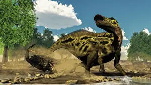 Saurolophinae: Shantungosaurus dinosaur defending itself from a ?