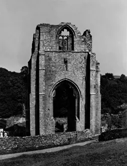 Shap: SHAP ABBEY