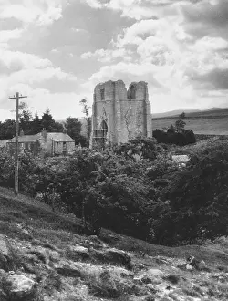 Shap: SHAP ABBEY