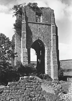 Shap: SHAP ABBEY