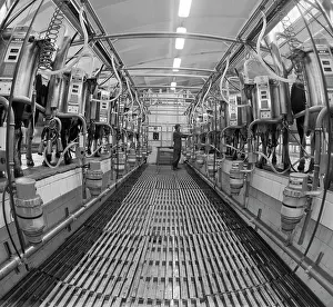 Facilities: Shapovo Experimental Farm
