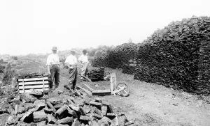 Wheeling: Shapwick, Wheeling out the Turf 1904