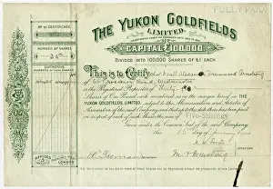 Prospecting: Share certificate for The Yukon Goldfields