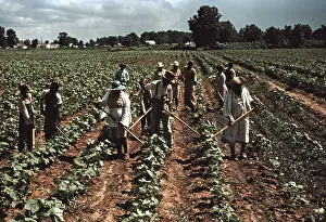 Bayou: Sharecroppers at Bayou Bourbeau plantation, ?
