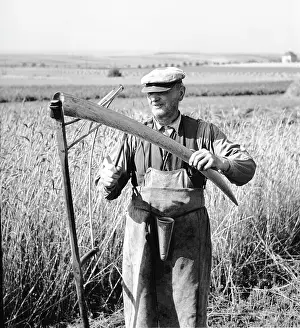 Sharpens: Sharpeni scythe