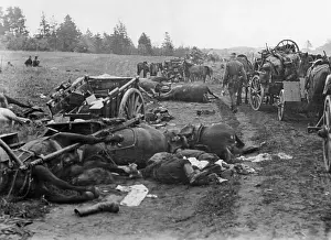 Shattered: Shattered Russian column in Ukraine, 1941