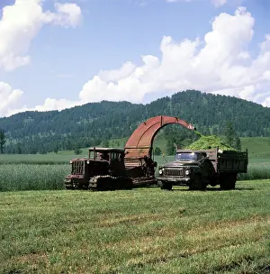 Forage: Shebalinsky sovkhoz stocking up with forage, 1980