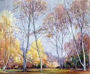 Billinghurst: Sheen Common, 1940