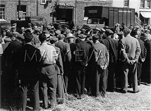 Thame: SHEEP AUCTION/OXON