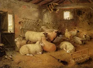 Holt: Sheep in a Barn