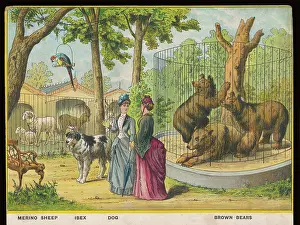 Freely: SHEEP AND BEARS ZOO